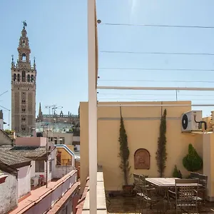 Botanic Duplex Terrace 5 Pax Sevilla